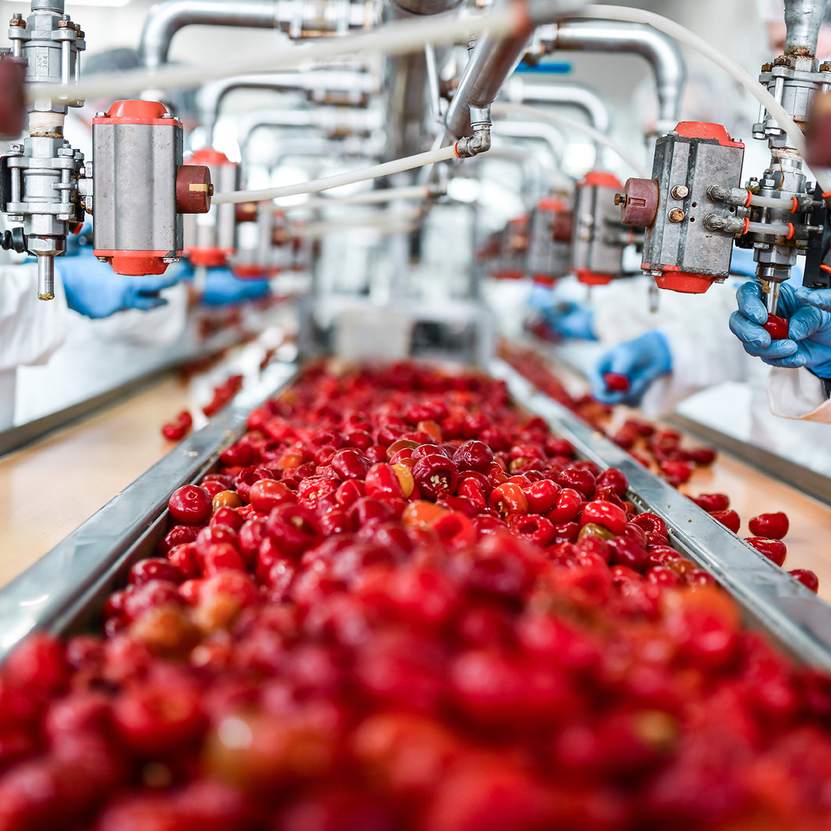 Food production customer context